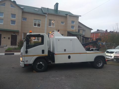 Vector Auto 31