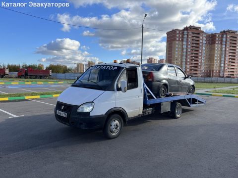 Кенгуру