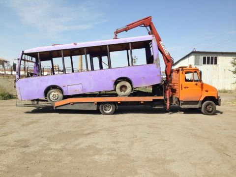 Турсын