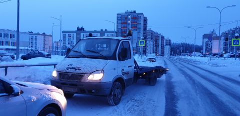 Автовид