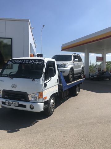 Autohelp 31
